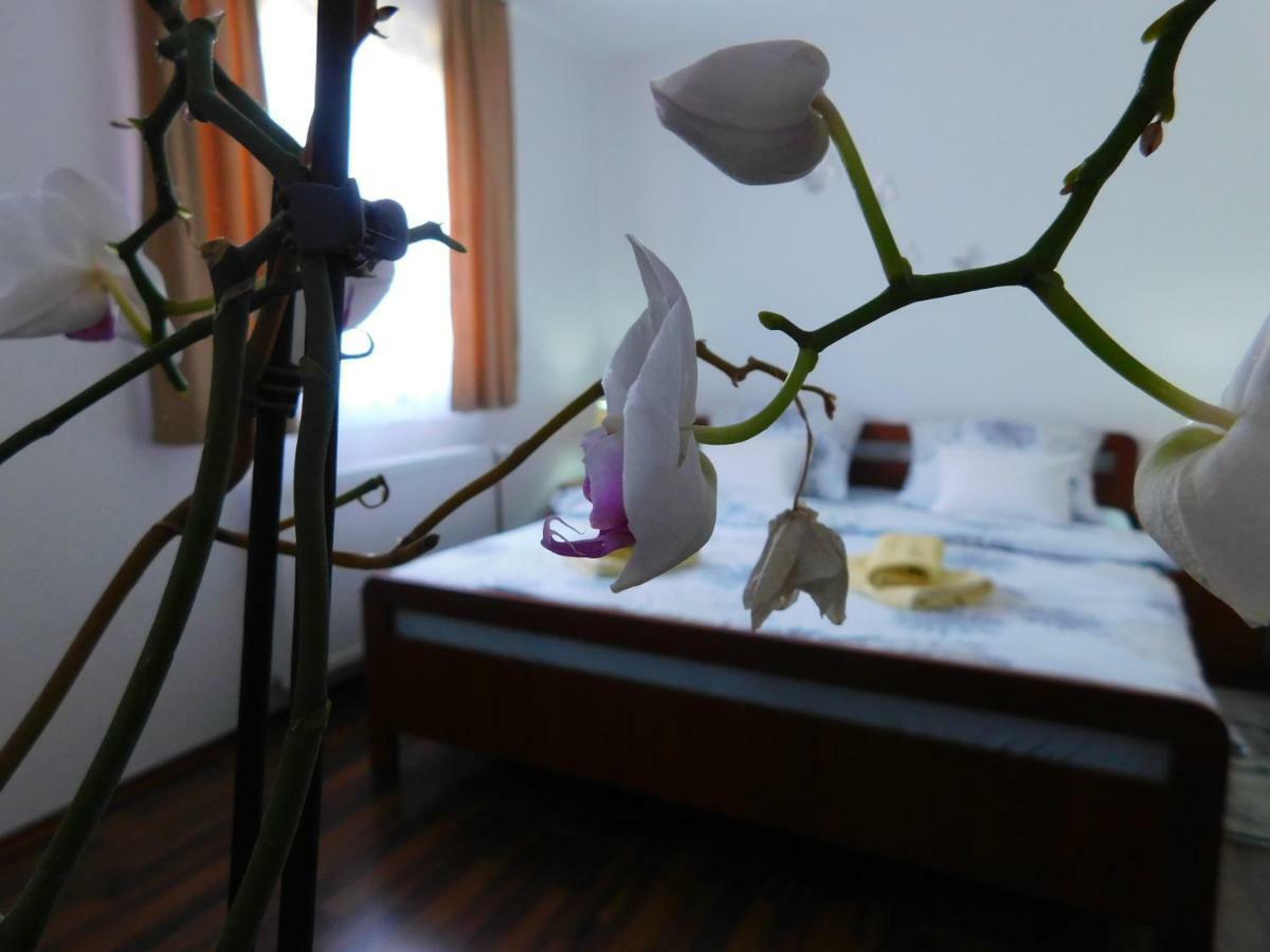 Apartment Petrovic Слуни Екстериор снимка